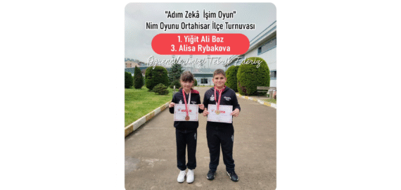AKIL VE ZEKA OYUNLARI